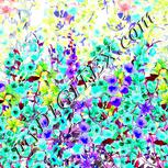 Colour:D
