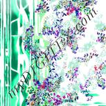 Colour:C