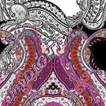 Colour:B