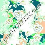 Colour:K