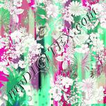 Colour:C