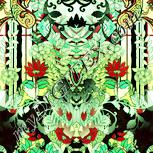 Colour:K