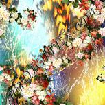 Colour:A