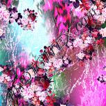 Colour:B