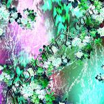 Colour:C
