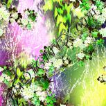 Colour:D