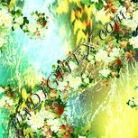 Colour:K