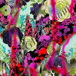 Colour:B