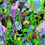 Colour:D