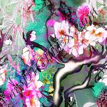 Colour:B