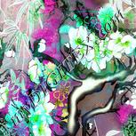 Colour:C