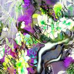 Colour:D