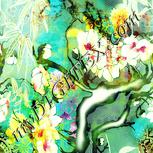 Colour:K
