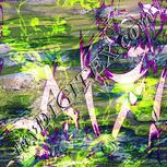 Colour:D