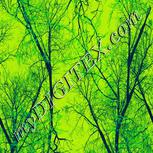 Colour:D