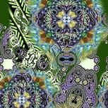 Colour:D