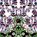 Colour:B