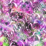 Colour:B