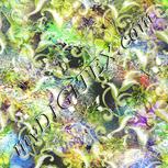 Colour:D