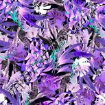 Colour:F