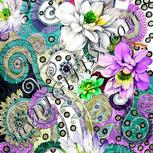Colour:D