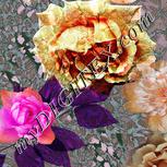 Colour:B