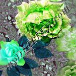 Colour:C