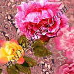 Colour:J