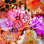 Colour:A