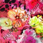 Colour:B