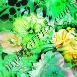 Colour:C
