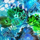 Colour:F