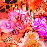 Colour:J