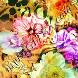 Colour:K