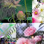 Colour:A