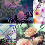 Colour:B