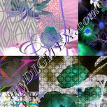 Colour:F