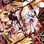 Colour:J