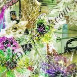 Colour:D