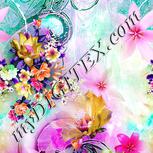 Colour:B