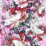 Colour:B