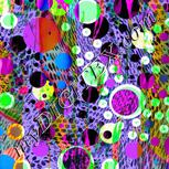 Colour:B