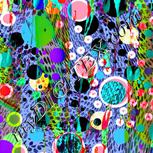 Colour:C