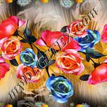 Colour:A