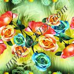 Colour:K