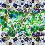 Colour:F