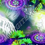 Colour:D