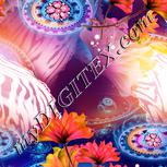Colour:J
