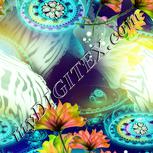 Colour:K