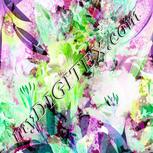 Colour:C